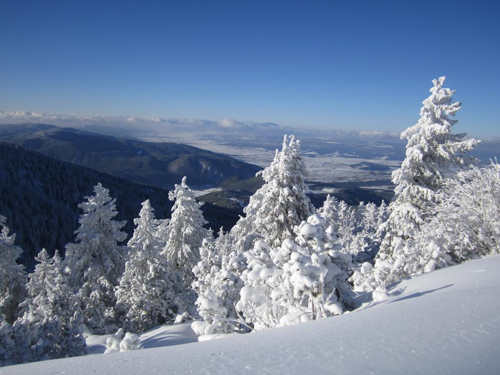 Tes Royal Plaza Apartments Borovets Exteriör bild
